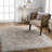 Everly Area Rug CSI2300-2026654817