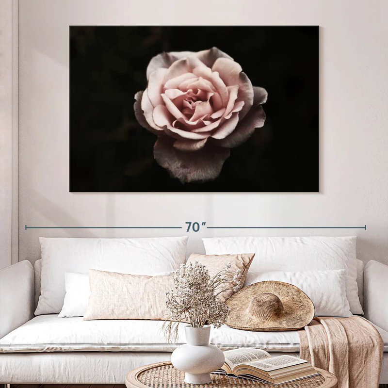 Rose œillet Harnek, H 34 po x l 51 po