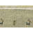 Performance Wool Indoor Rug