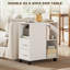 Printer Cabinet