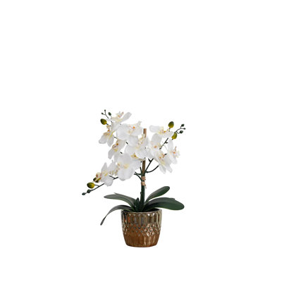 Silk Orchids Arrangement in Vase