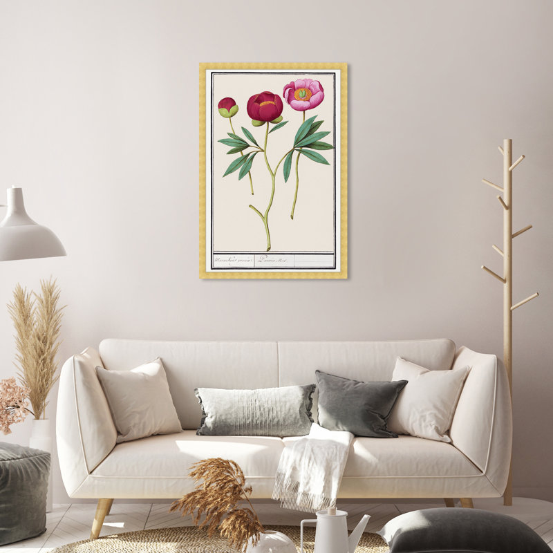 «Red and Pink Peony Botanical Study» par Birch Lane ™ - reproduction de cadre photo, Or, H 32 po x l 22 po