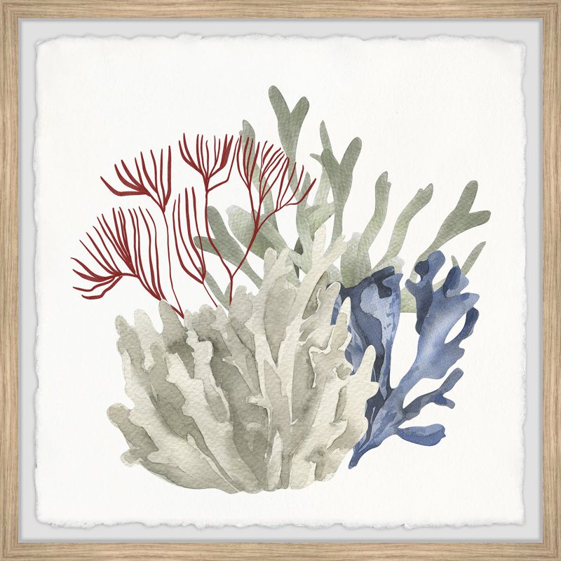 Seaweed Bloom - Single Picture Frame Print, 61cm H x 61cm W x 3.81cm D