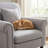 Upholstered Accent Armchair with Pillow-1615855917
