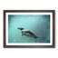 Solo Swimming Penguin in Abstract - Framed Print-55726479-55726483