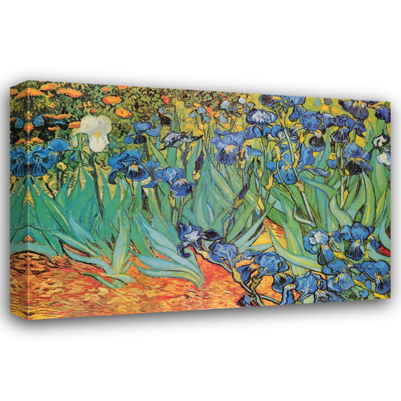 Irises, Saint-Remy, 32" H x 48" W