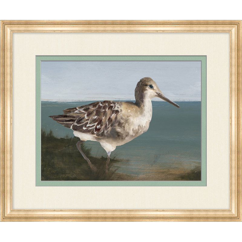 Oiseau de mer 1 - Peinture encadrée sur papier