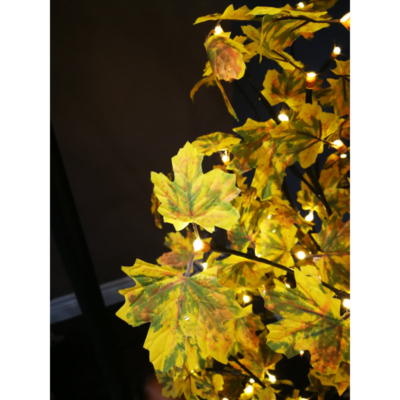 Arbre d’érable avec lumières del de feuilles