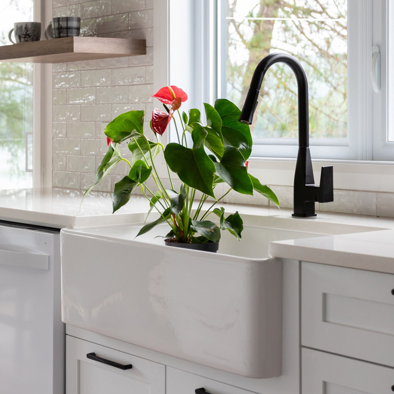 AGUA CANADA Mica Pull Out Kitchen Faucet