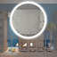 Miroir de meuble-lavabo 24 po