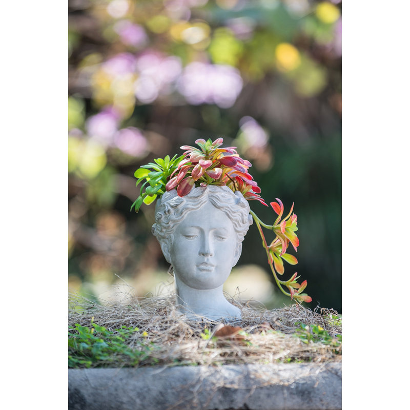 Greek Style Cement Head Planter /Indoor Outdoor Home Garden Decor, D6" X 9", Gray