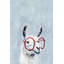 «Bequia Llama Glasses II», reproduction sur toile tendue-208796888