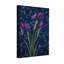 Plantes et fleurs d'iris mauves sur fond bleu foncé avec des vignes argentées-1528533130