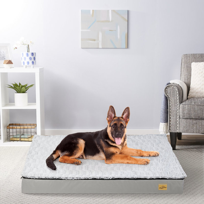 Orthopedic Polyester Pet Bed, 10cm H x 120cm W x 90cm D
