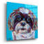 «Shih Tzu On Blue» par Carolee Vitaletti, art mural en verre acrylique-1139698214