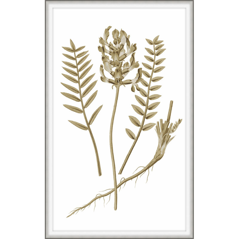 Sweet Preservation 6 Print, 28" H x 19" W x 2" D