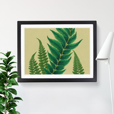 XH1022-6884X Perfect Fern Leaf - Single Picture Frame Print