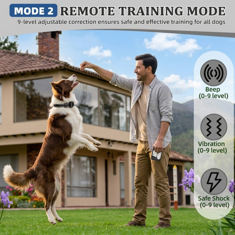 Installation sans fil pour 2 animaux de compagnie, avec écran ACL, intensité de correction réglable, couverture de 50 à 999 pi, colliers rechargeables, conçu pour les applications extérieures