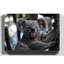 Koala Bear Photographic - Wrapped Canvas-19091545