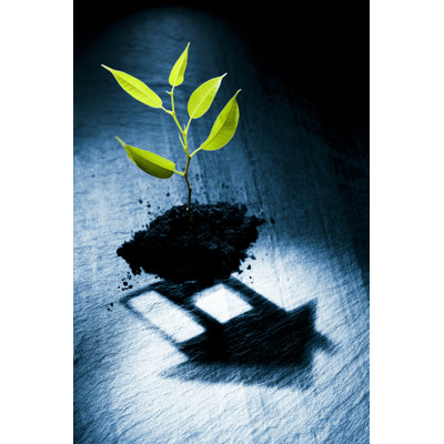 Little Plant by Ldf