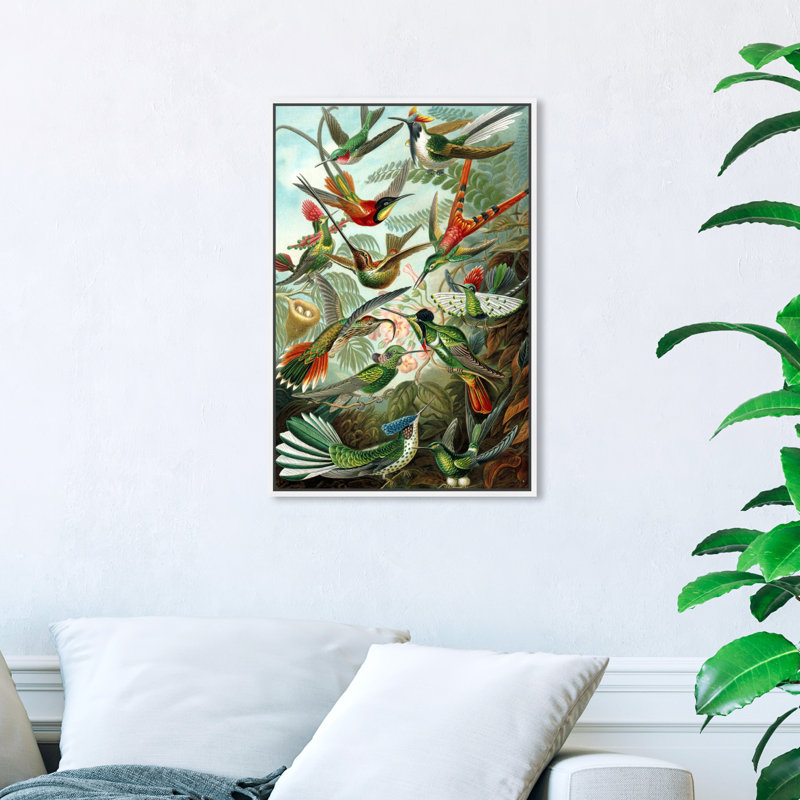 Haeckel - Étude d'oiseaux, impression, Toile avec cadre blanc, H 36 po x l 24 po