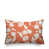Corail