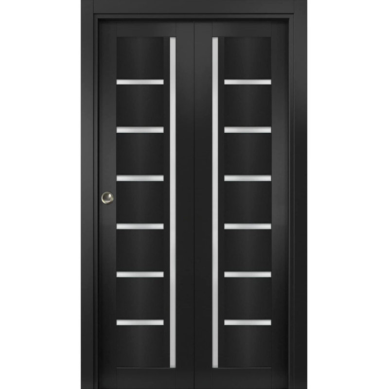Portes coulissantes pliantes pour garde-robe 30 x 80 Quadro 4088 Noir mat avec verre dépoli, rails robustes, moulures, garnitures, quincaillerie, bois massif, portes de placard de chambre