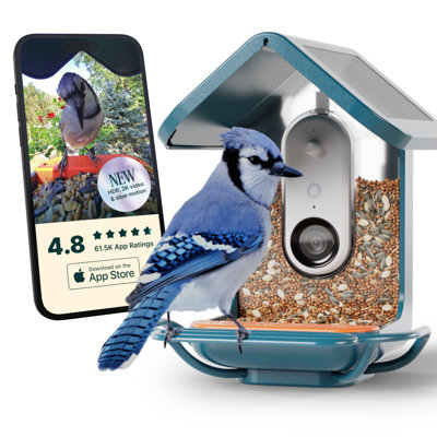 Mangeoire d'oiseaux intelligente avec caméra et rallonge pour perchoir Birdbuddy Pro