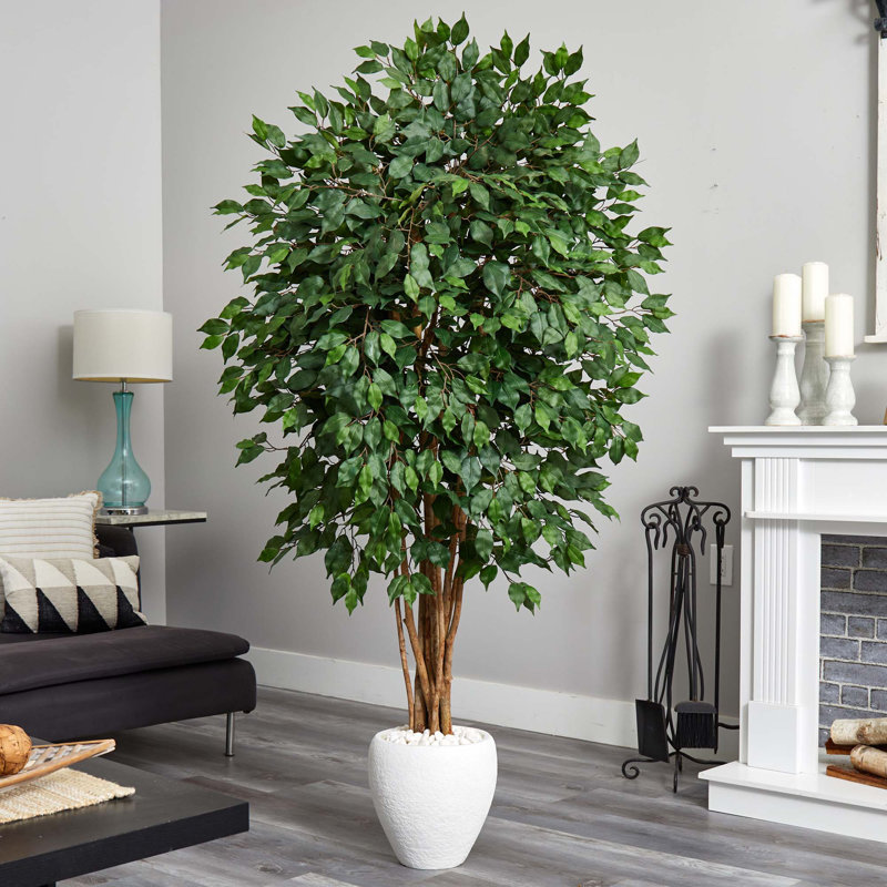 72'' Faux Ficus Tree in Ceramic Planter