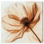 Décoration murale en toile «Fragile Elegance II» par Art Remedy-118136358-118136361-118136362