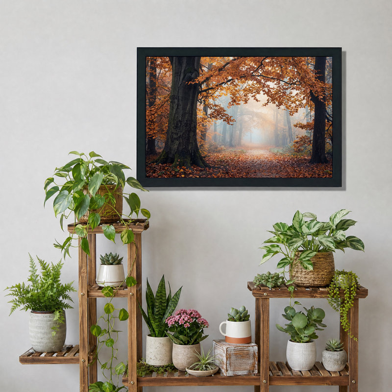 Tableau sur toile Chemin de forêt d'automne doré à travers la brume, H 12 po x l 18 po