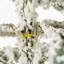 6ft Artificial Flocked Mountain Pine Christmas Tree