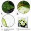 «Honeydew Cucumber Légume Pointillism Dot I», reproduction sur toile-708930688-708930693