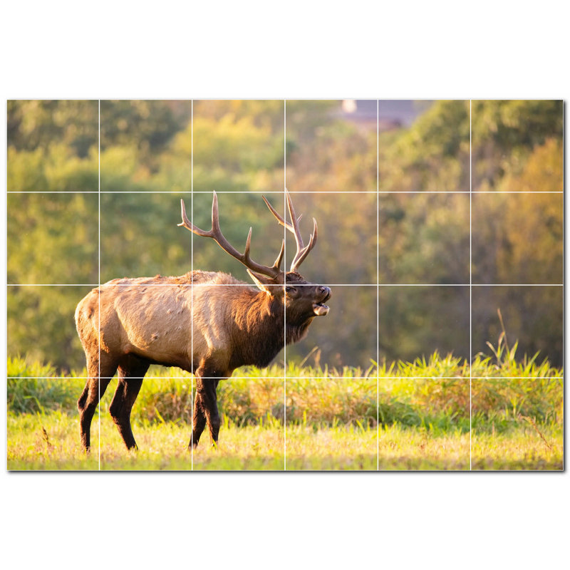 Photo de cerf 4,25 x 4,25