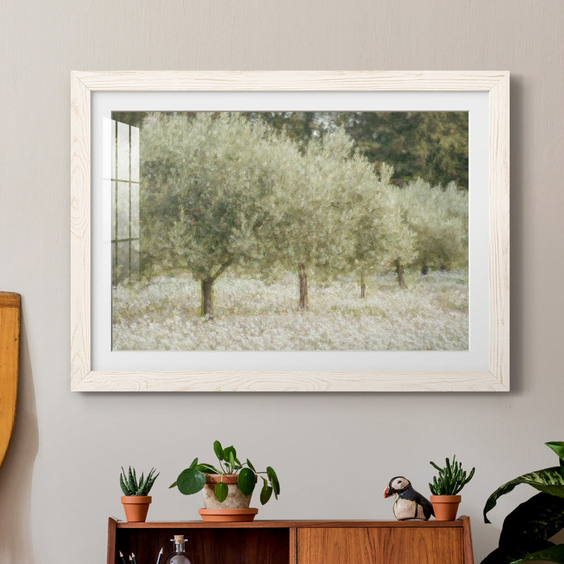Paintograph Olive Trees - Reproduction de photo sur papier encadrée, H 31 po x l 44 po x P 1 po, Papier encadré blanc