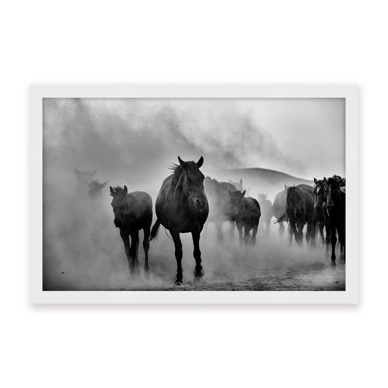 Nature Inspired Untitled by  - Picture Frame Photograph on Paper, 16" H x 24" W x 1.125" D, Black, Framed Matted Print