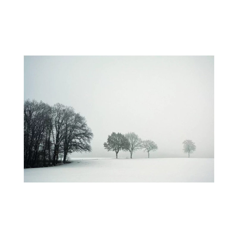 Calm Winter Day by Lena Weisbek - Wrapped Canvas Print, 20.32 cm H x 30.48 cm W