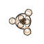 6 - Light Chandelier