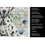 Serviette de cuisine Dalmatian-1209194481