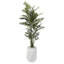 Faux Bamboo Tree in Planter