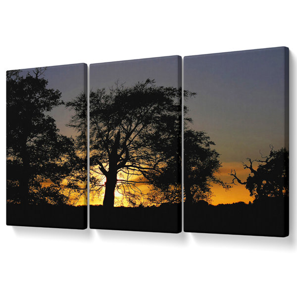 Ebern Designs Morning Sun Trees - 3 Piece Wrapped Canvas Print ...