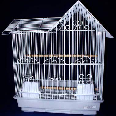 20'' Steel Pointed Top Table Top Bird Cage with Perch