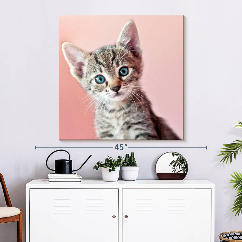 Crowle Staring Cat, 33" H x 33" W