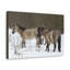Tarpan Couple, Tarpan Couple, reproduction d'art mural-1065979569