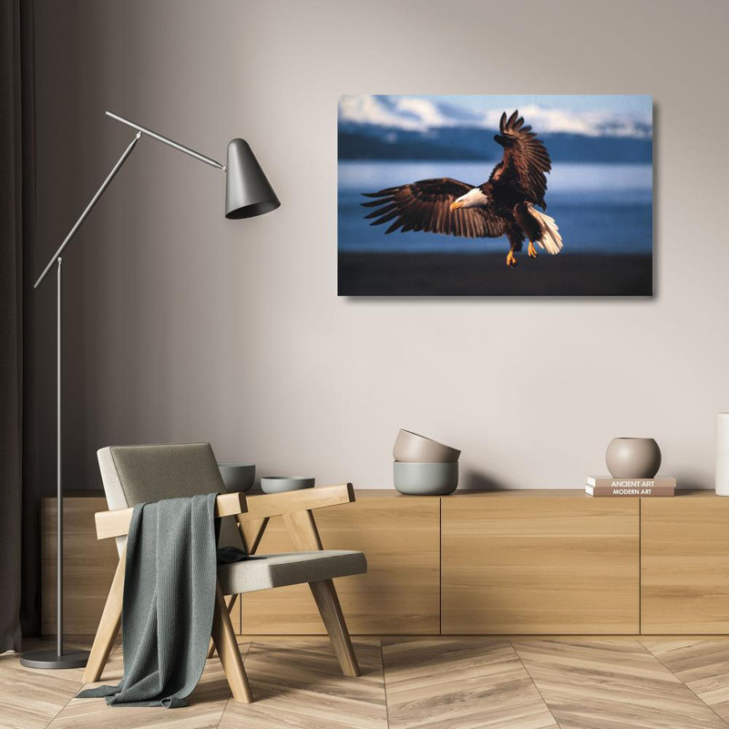 Into the Wind - Bald Eagle
