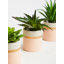 10cm Faux Succulent Plant in Ceramic Pot-171422675