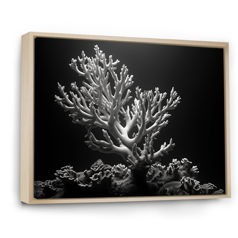 Noir et blanc Anemoner Photo II sur toile, H 24 po x l 32 po x P 1 po, Cadre naturel flottant