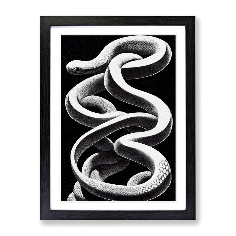 Coiled Snake - Single Picture Frame Print, Black, 64cm H x 46cm W x 2cm D
