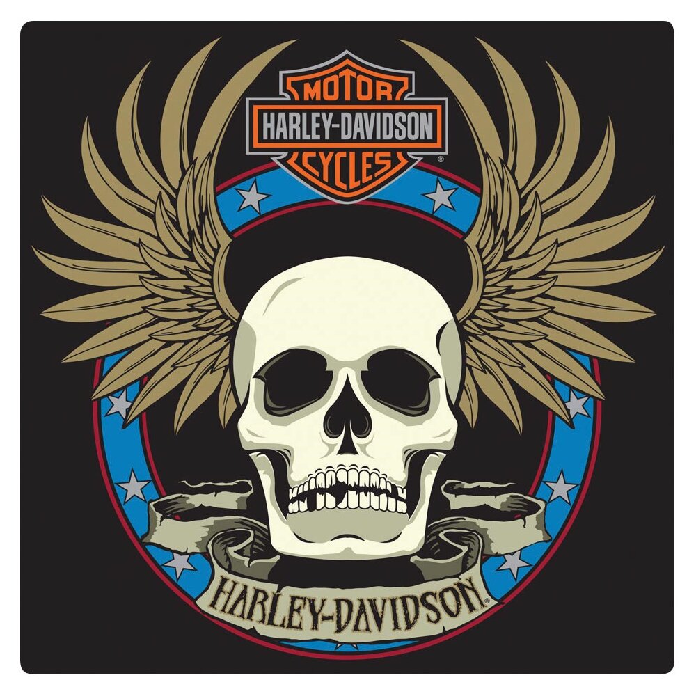 Mr.MJs Harley Davidson Skull Embossed Sign Wall Décor | Wayfair