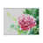Cadre flottant blanc